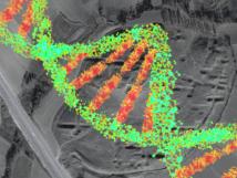 genomes